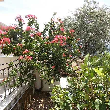 Daire Elli 1 Panoramic View